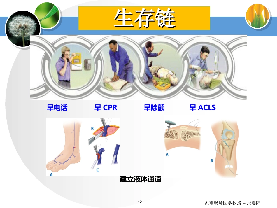 60.灾难现场的医学救援_第12页