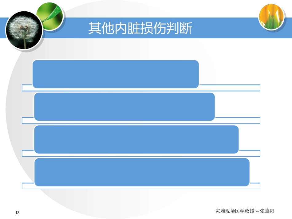 60.灾难现场的医学救援_第13页