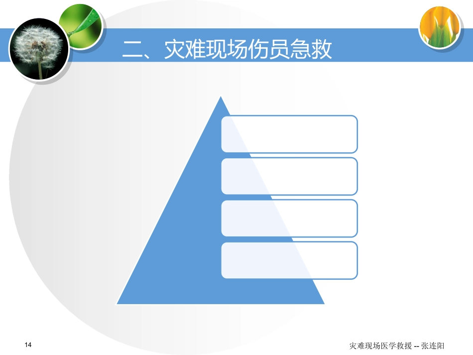 60.灾难现场的医学救援_第14页