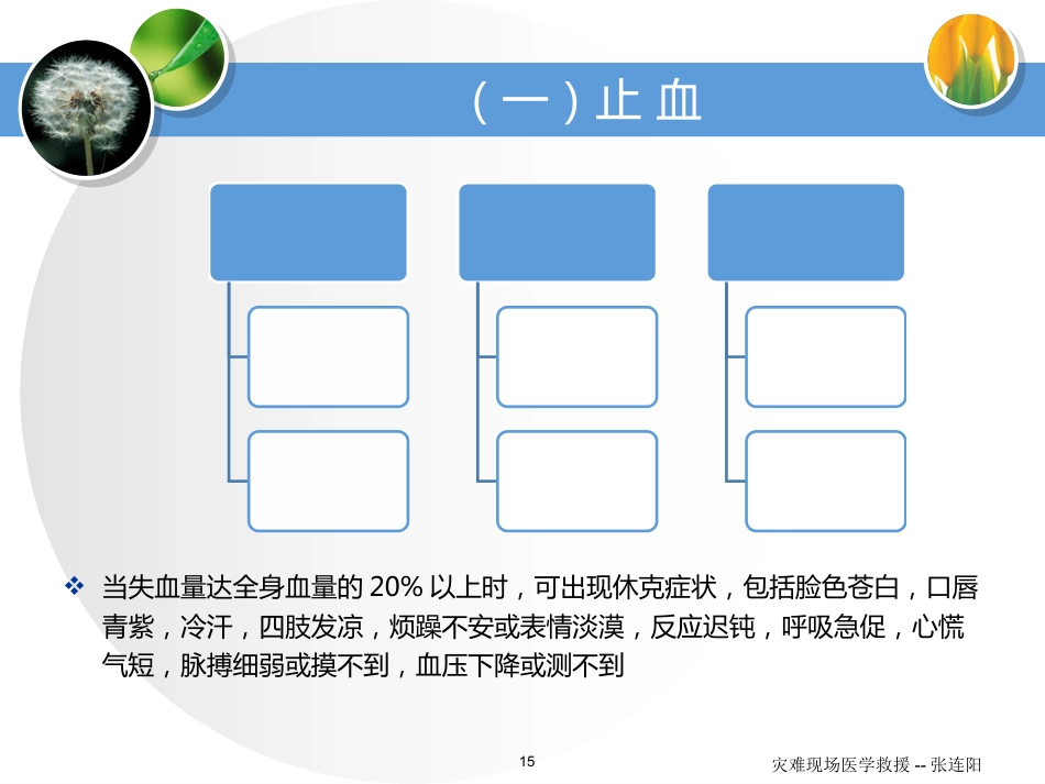 60.灾难现场的医学救援_第15页