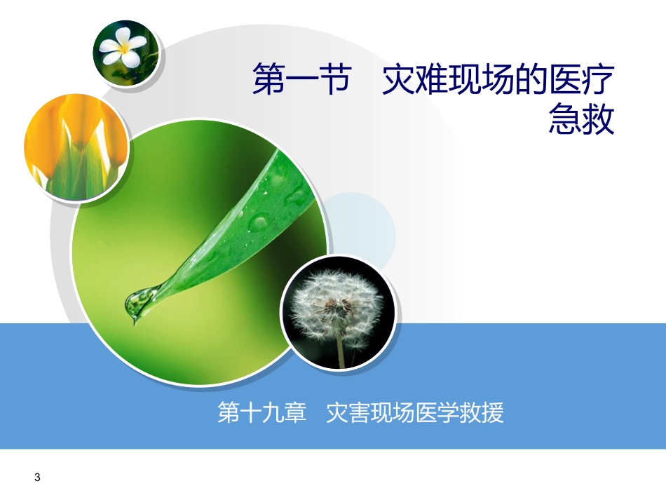 60.灾难现场的医学救援_第3页