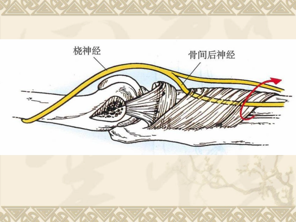 外科学：孟氏骨折_第7页