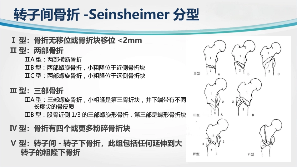 外科学：转子间骨折(2)_第9页