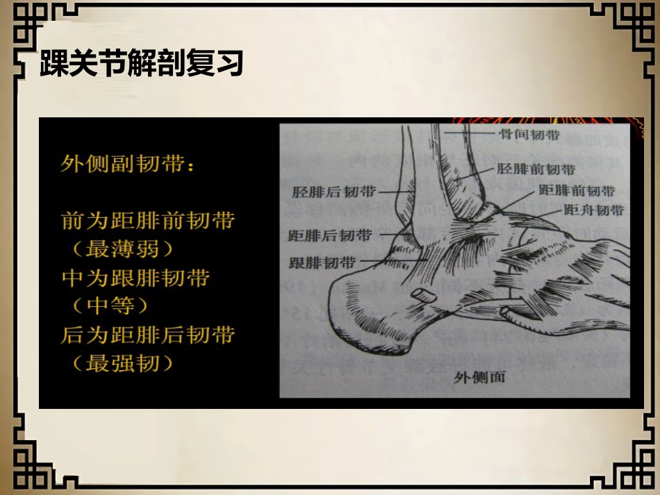 外科学：踝关节骨折的分型_第5页