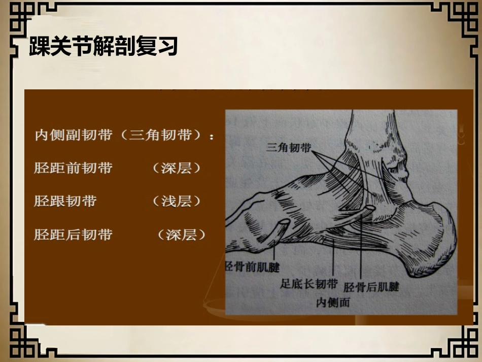 外科学：踝关节骨折的分型_第6页