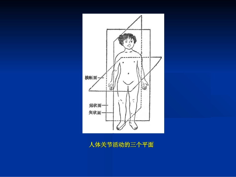 外科学：骨科体格检查_第14页