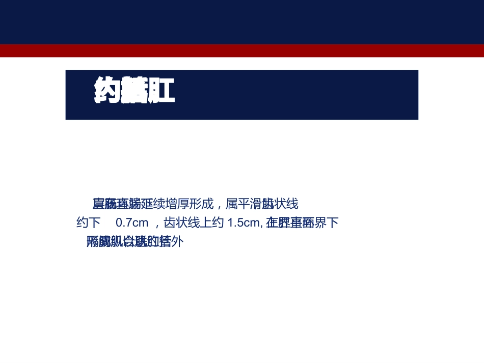 肛管内超声检查肛周脓肿和肛瘘_第13页