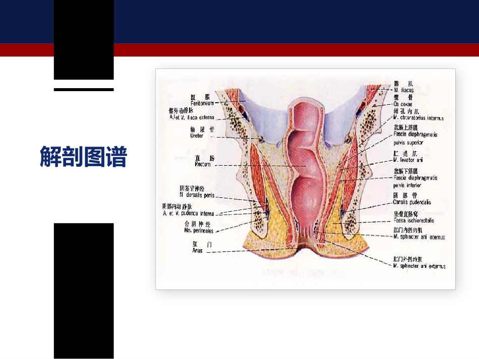肛管内超声检查肛周脓肿和肛瘘_第4页