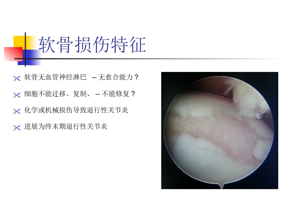 外科学：软骨修复_第5页