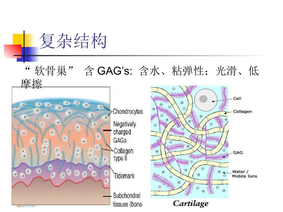 外科学：软骨修复_第6页