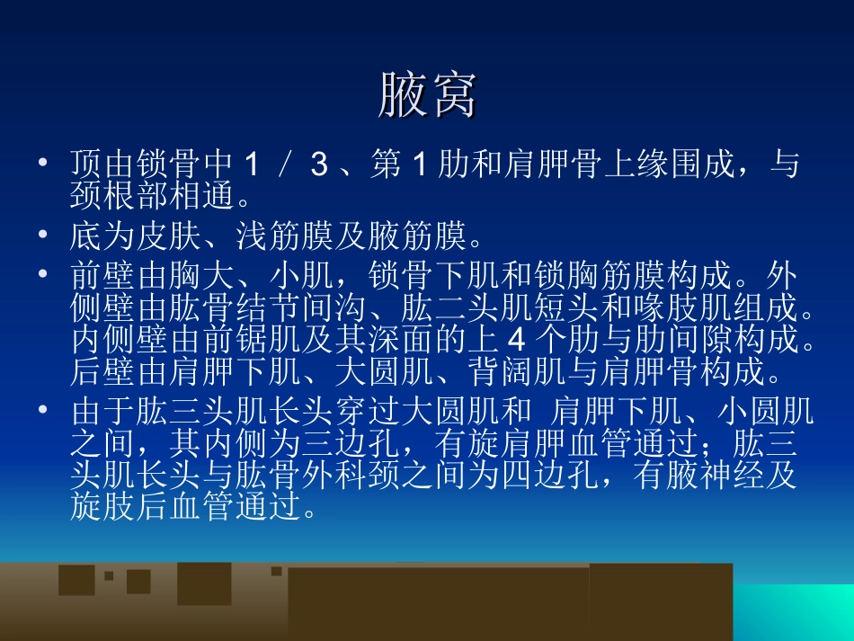 外科学：骨科解剖及手术切口入路_第2页