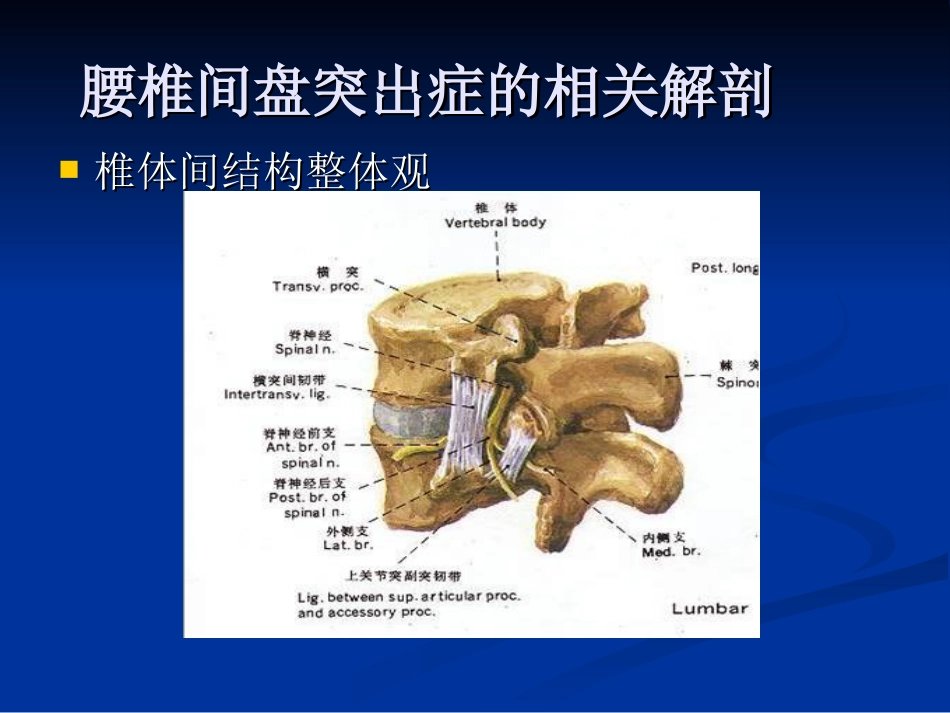 外科学：腰椎间盘突出症的诊断、鉴别诊断与分型_第3页