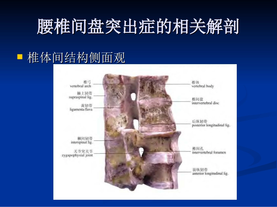 外科学：腰椎间盘突出症的诊断、鉴别诊断与分型_第4页