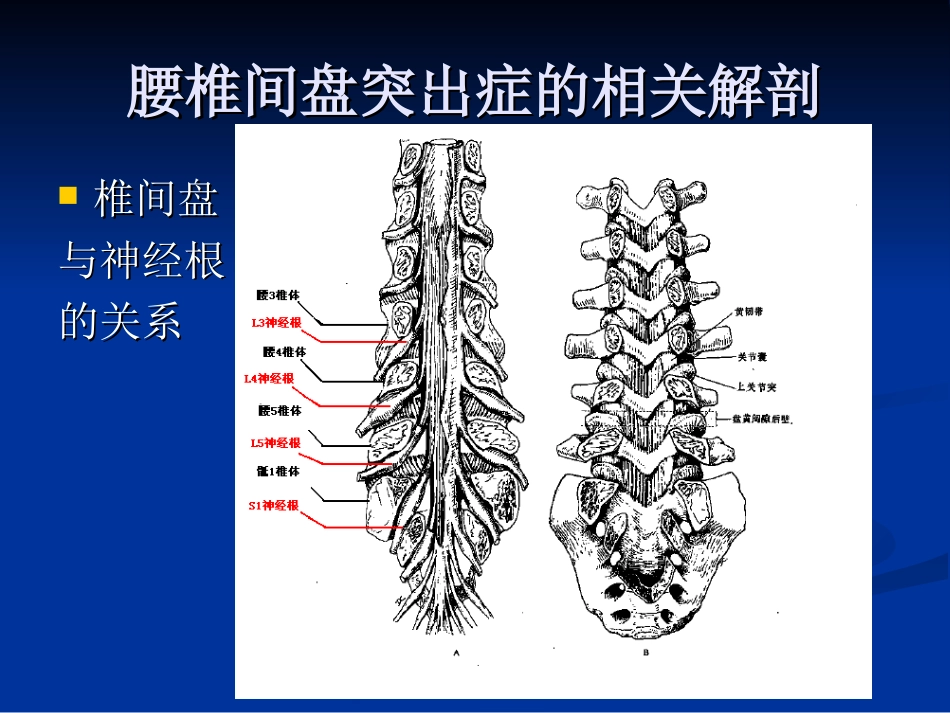 外科学：腰椎间盘突出症的诊断、鉴别诊断与分型_第7页