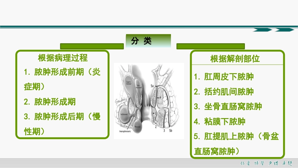 肛周脓肿和肛瘘超声诊断的临床思维_第14页