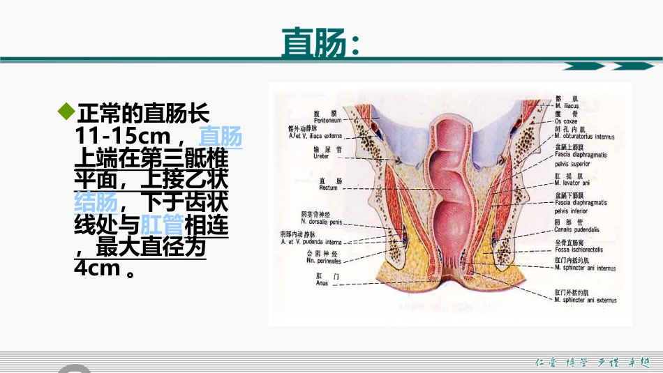 肛周脓肿和肛瘘超声诊断的临床思维_第4页