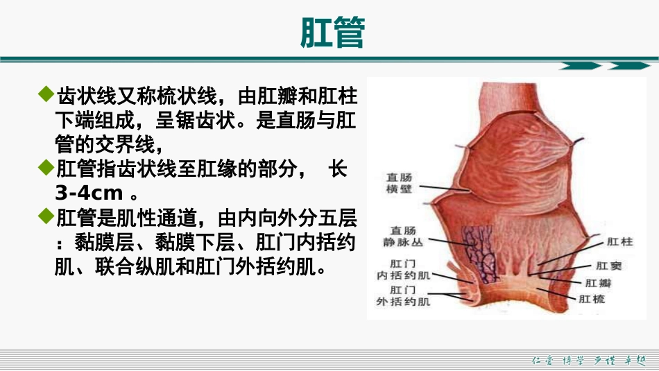 肛周脓肿和肛瘘超声诊断的临床思维_第7页