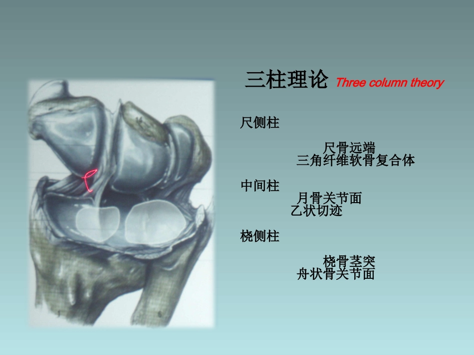 外科学：桡骨远端骨折的治疗_第10页