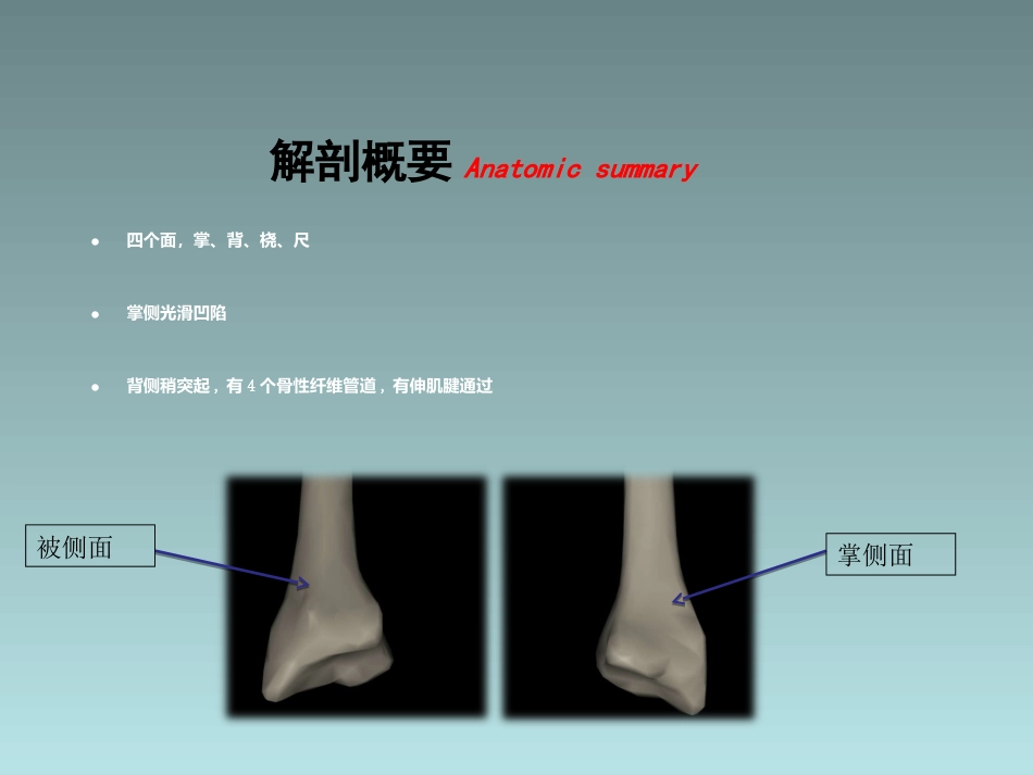 外科学：桡骨远端骨折的治疗_第4页