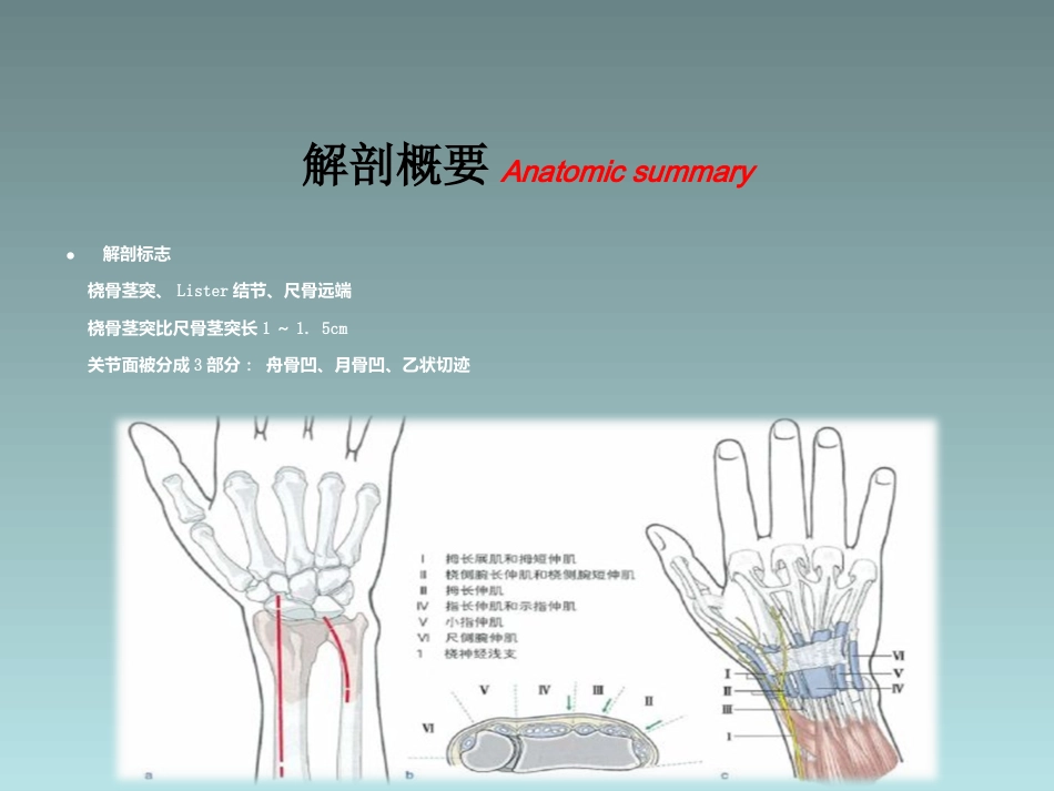 外科学：桡骨远端骨折的治疗_第6页