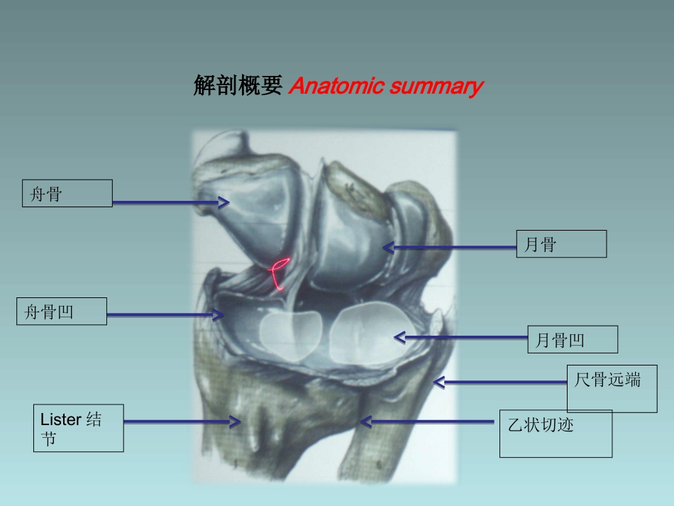 外科学：桡骨远端骨折的治疗_第7页