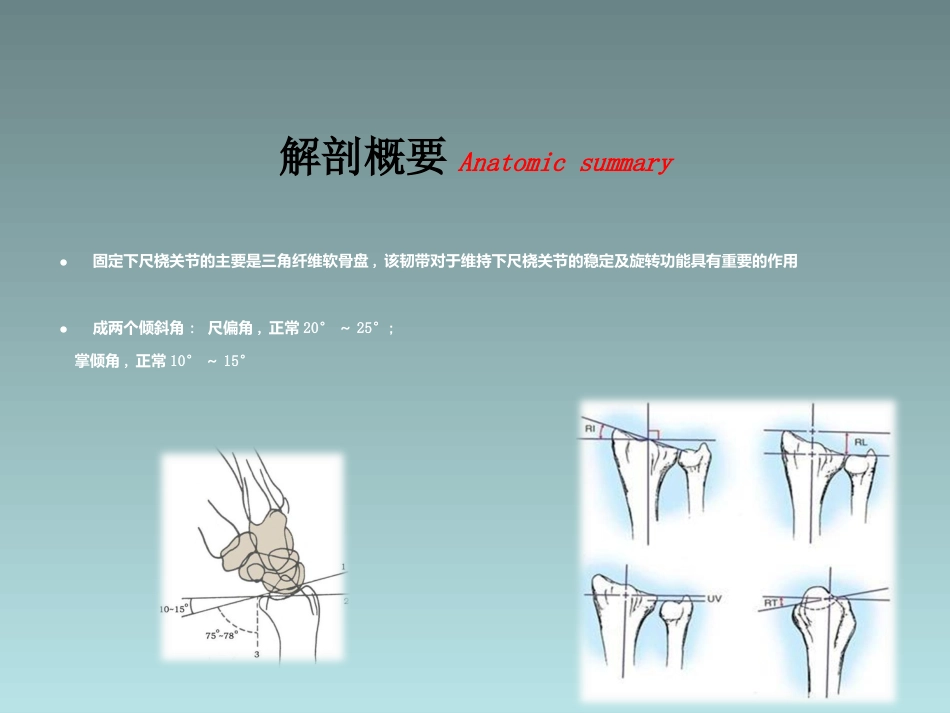 外科学：桡骨远端骨折的治疗_第8页