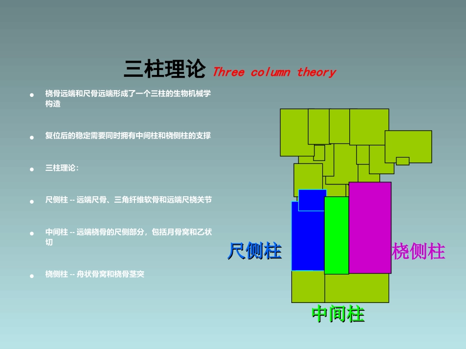 外科学：桡骨远端骨折的治疗_第9页