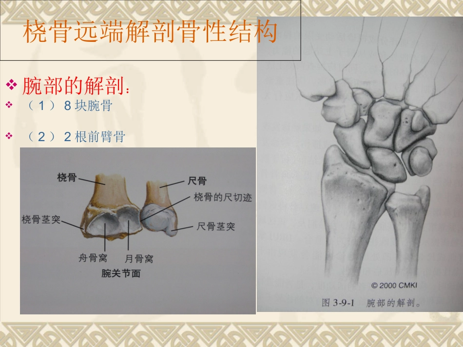 外科学：桡骨远端骨折_第7页