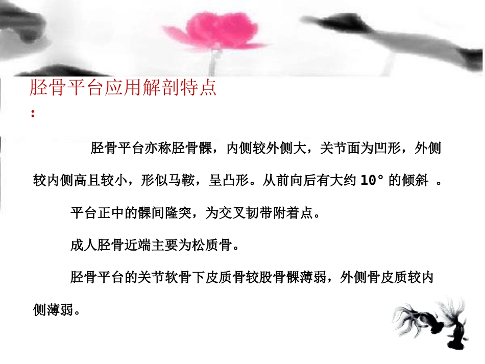 外科学：胫骨平台骨折治疗分型_第2页