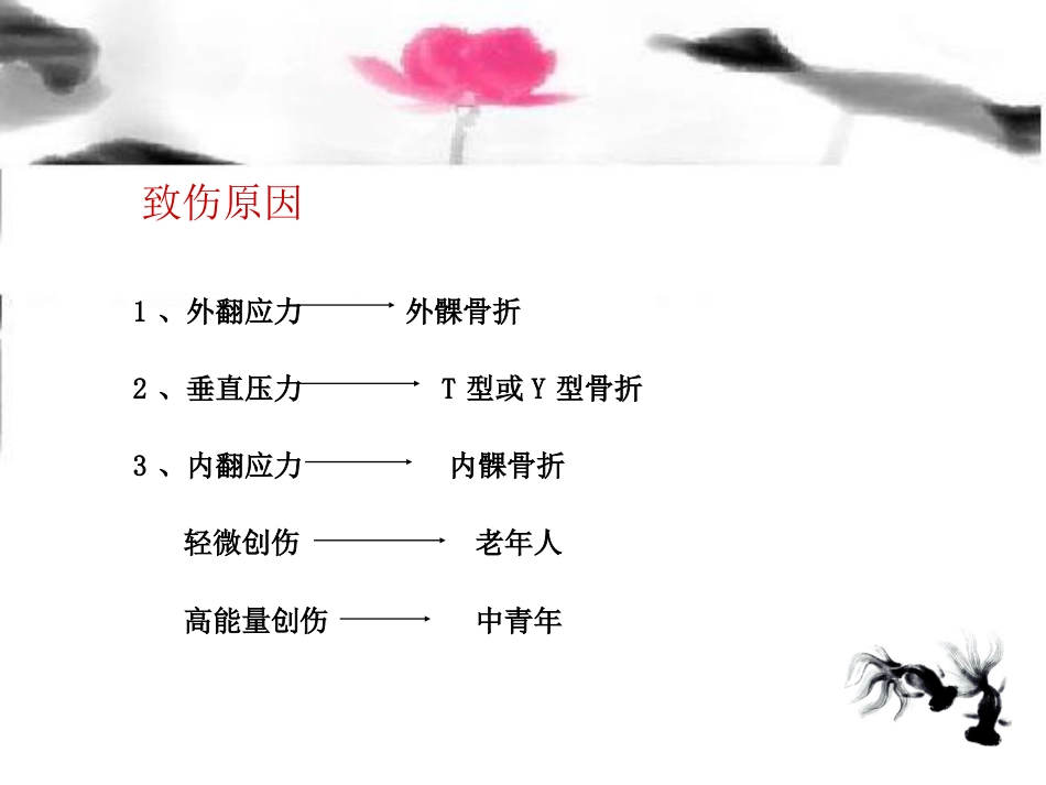 外科学：胫骨平台骨折治疗分型_第3页