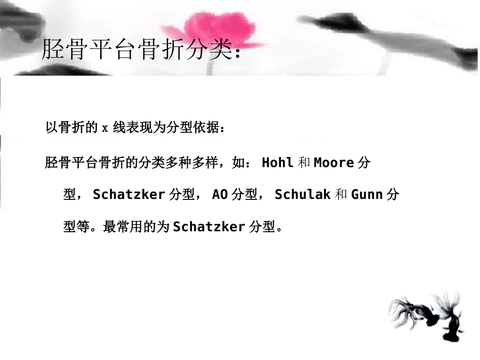 外科学：胫骨平台骨折治疗分型_第5页