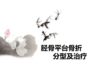 外科学：胫骨平台骨折治疗分型