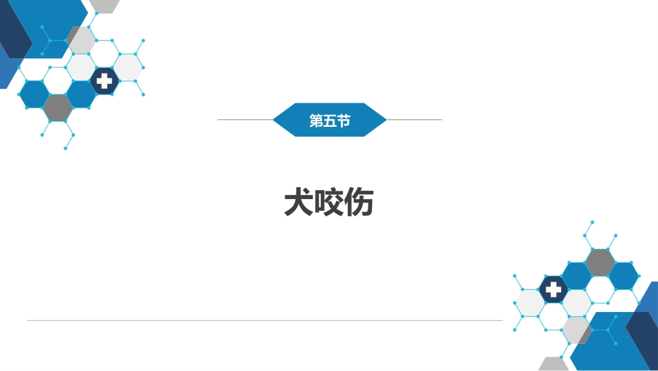 外科学：烧伤、冻伤、蛇咬伤、犬咬伤、虫蛰伤——蛇咬伤_第12页