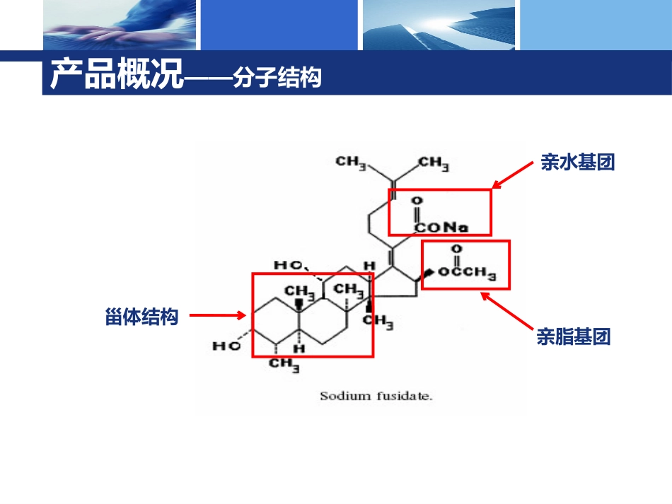 夫西地酸代表培训_第11页