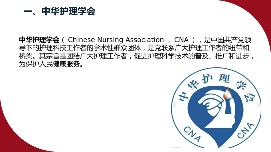 成人住院患者静脉血栓栓塞症的预防护理ppt课件_第3页