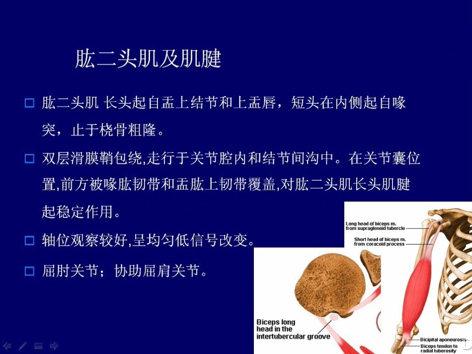 外科学：肩关节MR_第9页