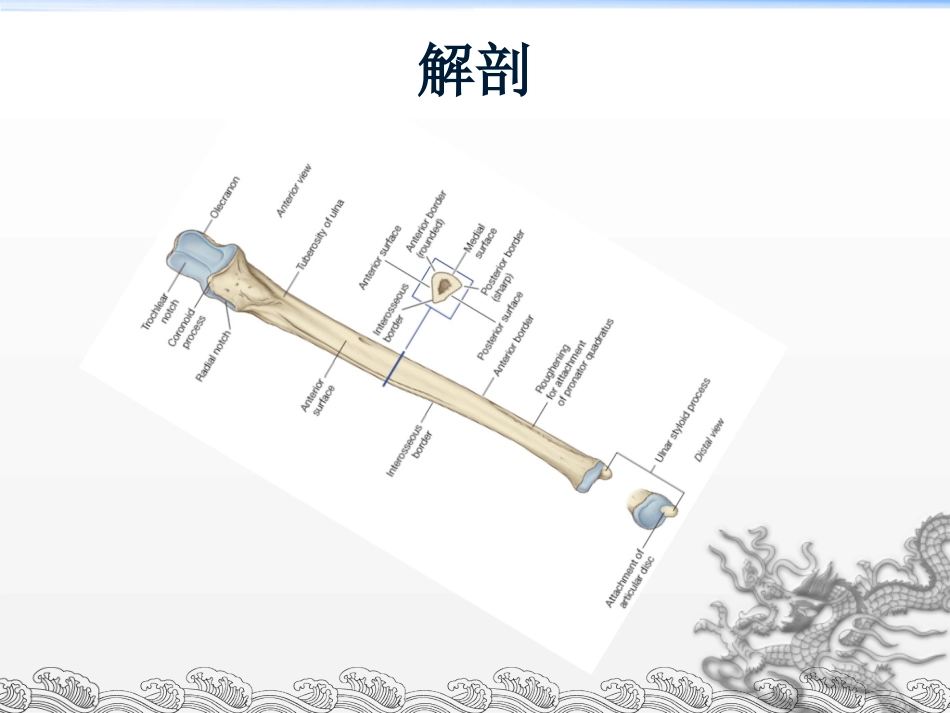 外科学：尺骨鹰嘴骨折_第4页