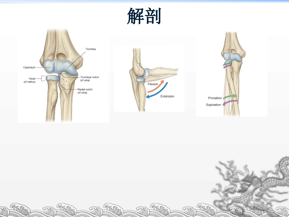 外科学：尺骨鹰嘴骨折_第5页