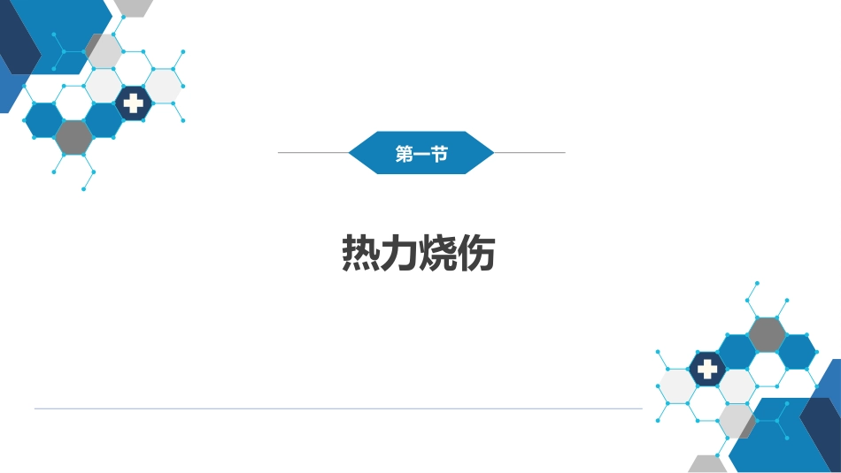 外科学：烧伤、冻伤、蛇咬伤、犬咬伤、虫蛰伤——热力烧伤_第4页
