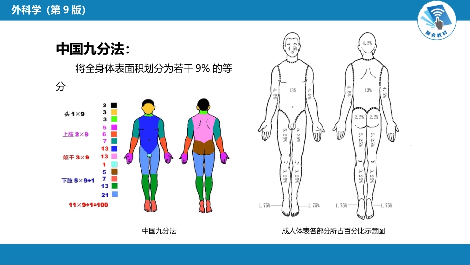 外科学：烧伤、冻伤、蛇咬伤、犬咬伤、虫蛰伤——热力烧伤_第8页