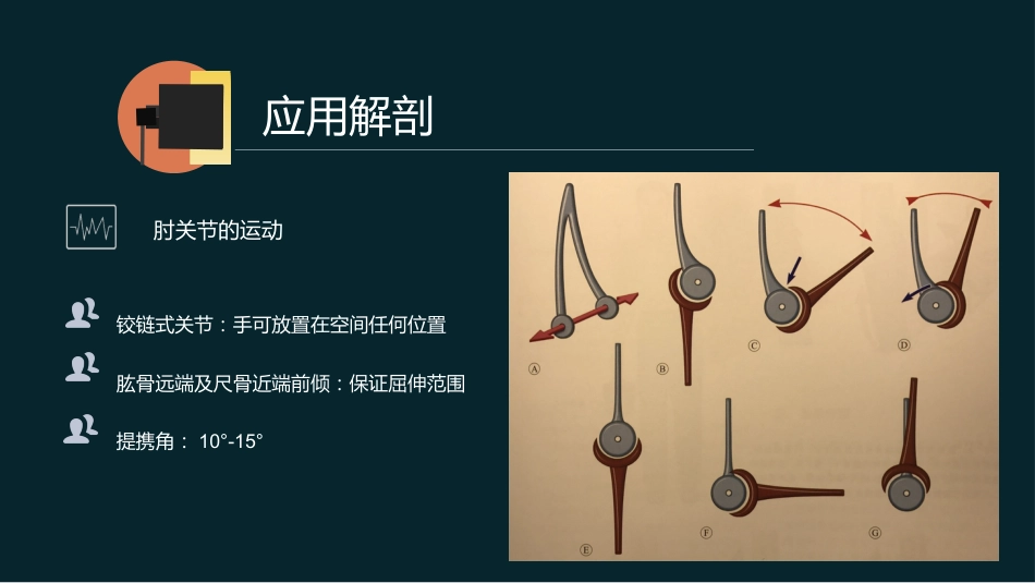 外科学：肱骨远端骨折_第10页