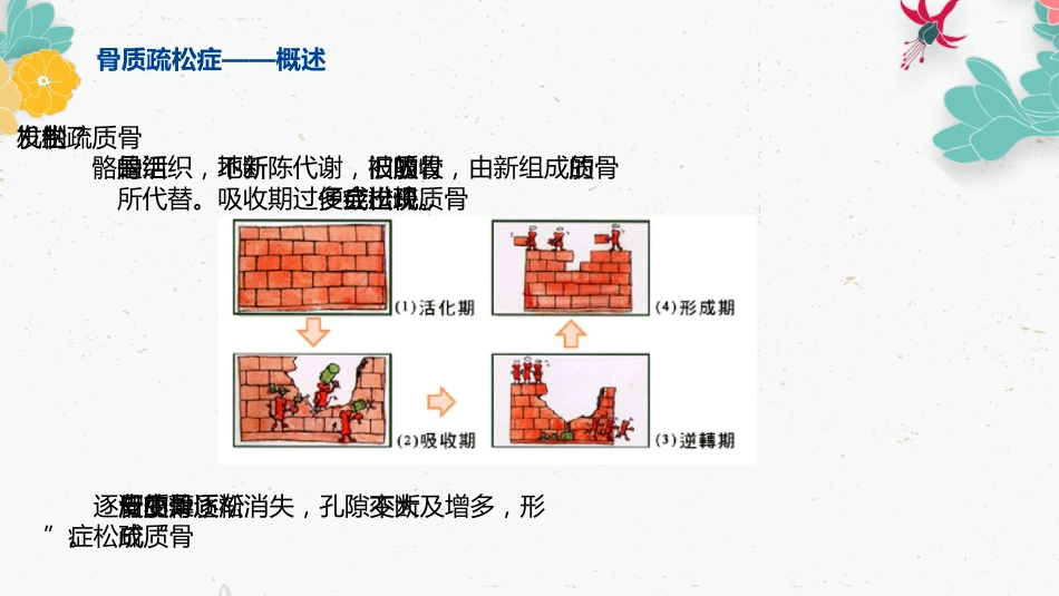 骨质疏松的药物治疗_第5页