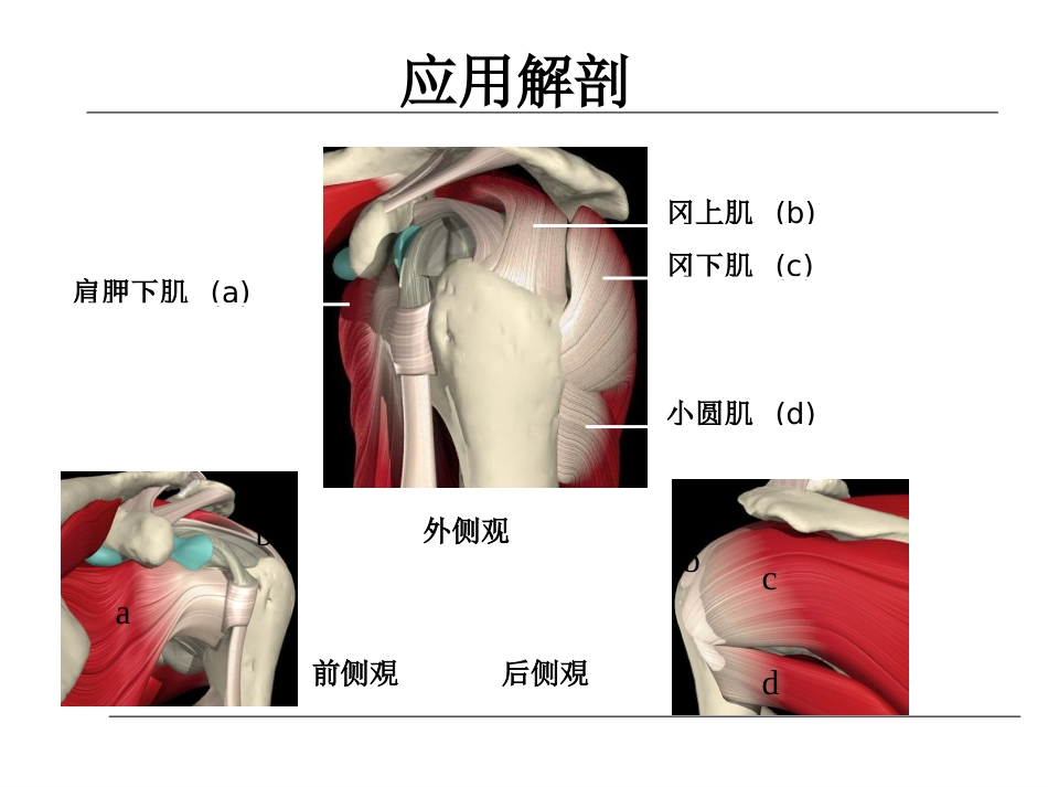 外科学：肱骨近端骨折的诊治_第6页