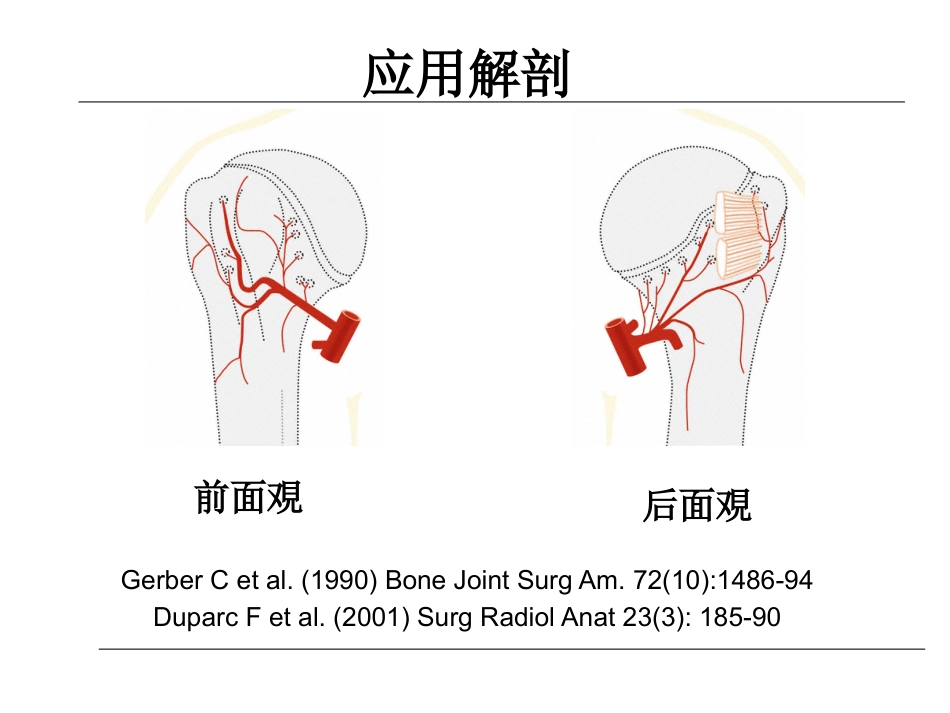 外科学：肱骨近端骨折的诊治_第8页