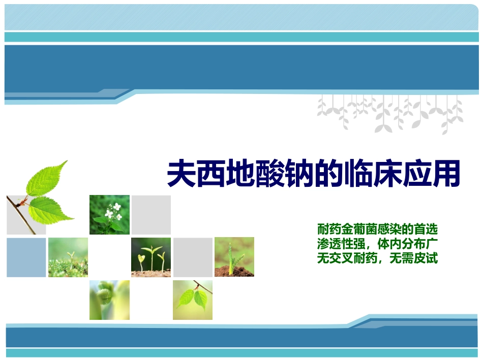 夫西地酸科室会_第1页