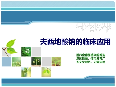 夫西地酸科室会