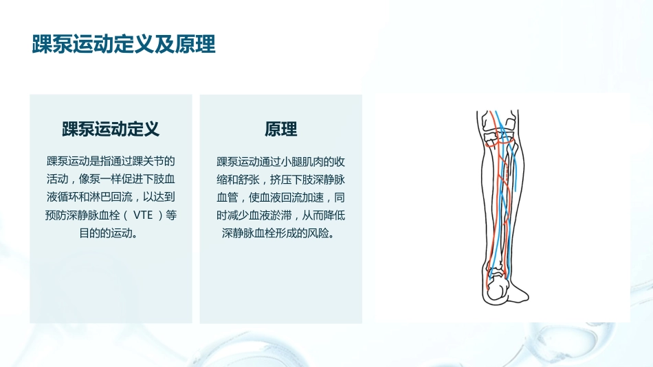 VTE预防与踝泵运动_第8页