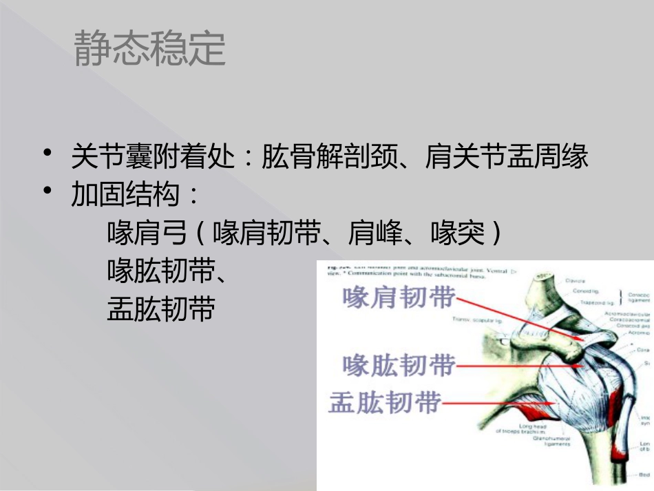 外科学：肱骨近端骨折Neer分型_第5页