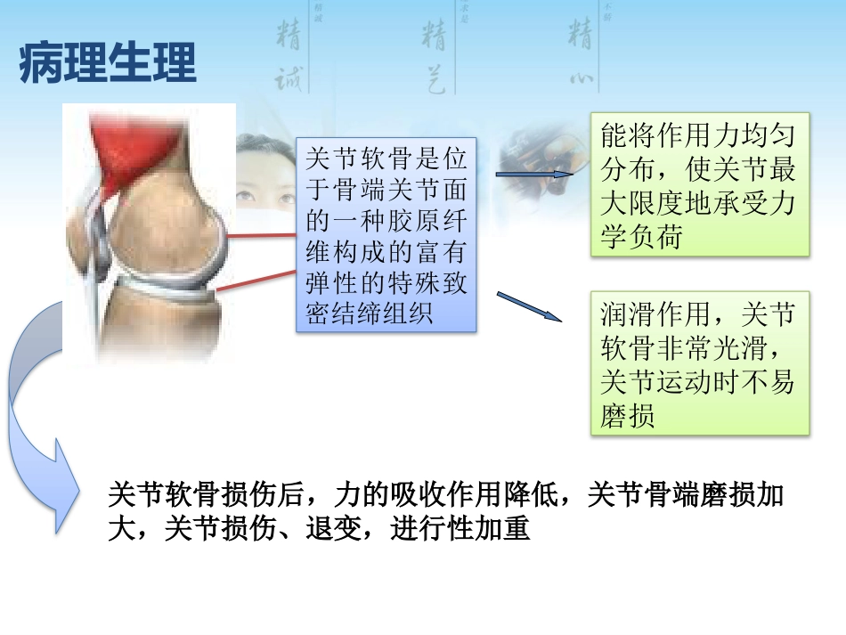 骨关节炎用药科内讲课用_第6页