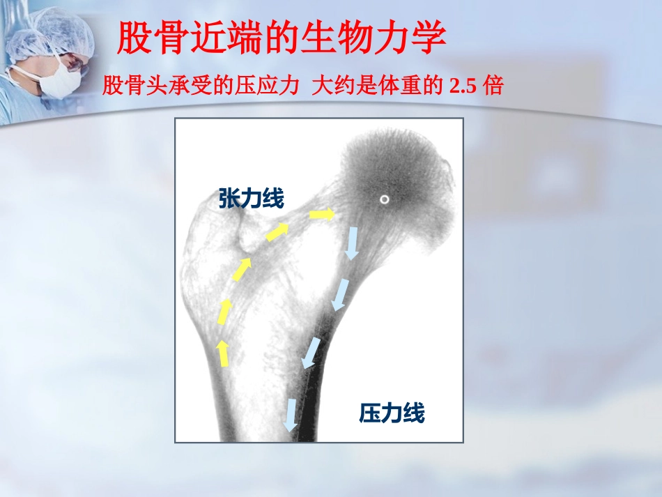 外科学：股骨转子间骨折的治疗：髓内or髓外_第5页